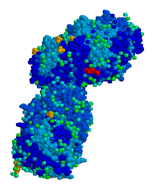 Acid β-glucosidase